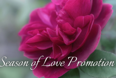 Season of Love Promotion at Hastings House